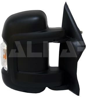 Exterior Mirror 9204922