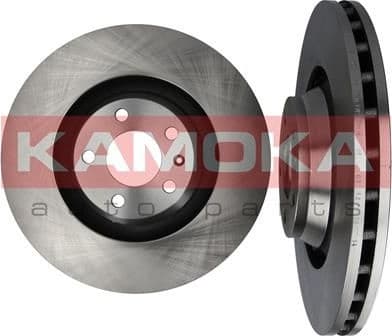 Brake Disc 1032476