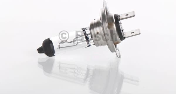 Bulb, front fog light Trucklight WS 1987302471