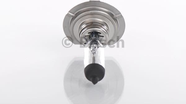 Bulb, front fog light Trucklight WS 1987302471 - image 4