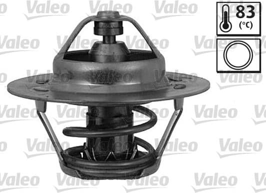 Thermostat, coolant 819946