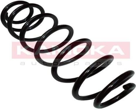 Coil spring 2120253