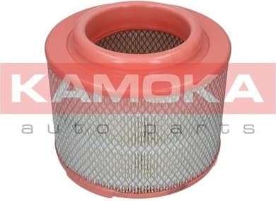 Air Filter F236201