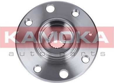 Wheel Hub 5500106