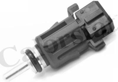 Sensor water temperature WS3000