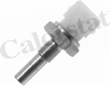 Sensor water temperature WS2580 - image 2