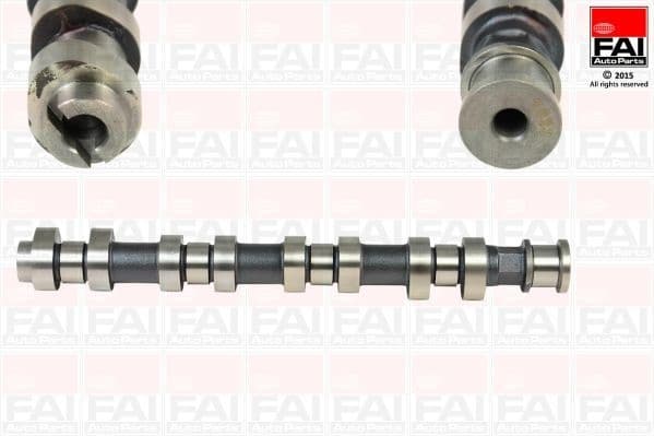Camshaft C307