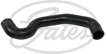 Radiator Hose 3817