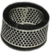 Air Filter A407
