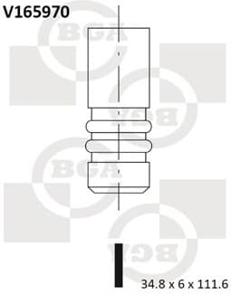 Valve inlet V165970