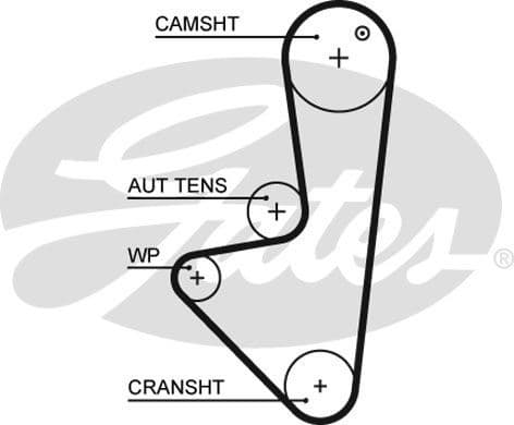 Timing Belt PowerGrip™ 5574XS