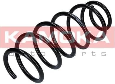 Suspension Spring 2120159 - image 4