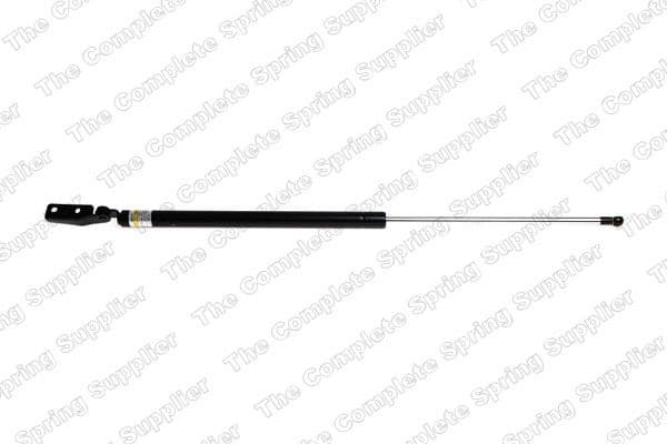 Gas Spring, boot/cargo area 460000