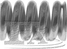 Spring, muffler 125904