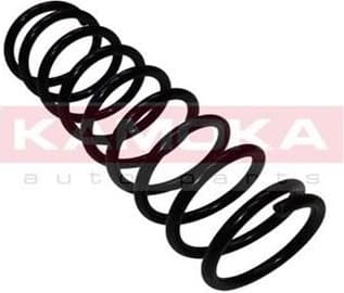 Coil spring 2120031