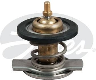Thermostat, coolant TH50187G1