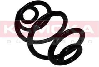 Suspension Spring 2120002