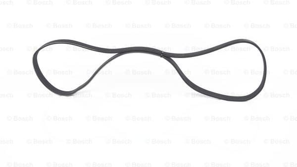 V-ribbed Belt 1987948318