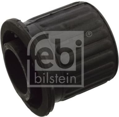Bushing, axle beam 10301