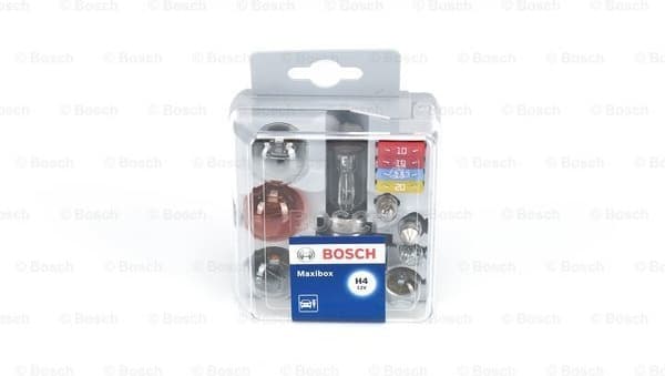 Bulbs Assortment 1987301111