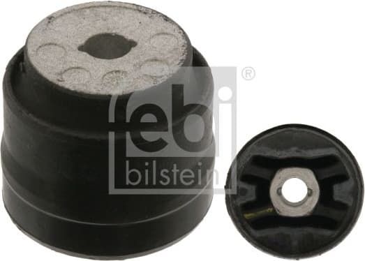 Mounting, differential 38546