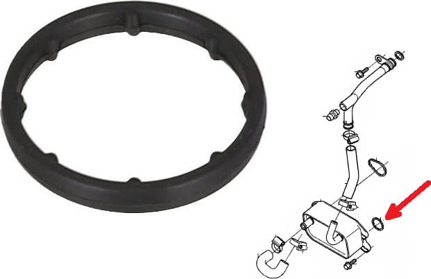 Gasket oil filter flange housing 693.940