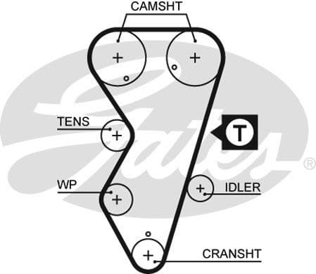 Timing Belt PowerGrip™ 5412XS - image 2