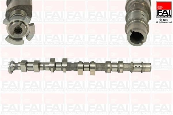 Camshaft C366