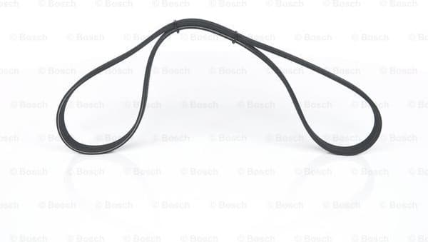 V-ribbed Belt 1987946214