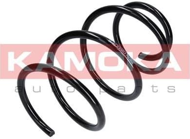 Coil spring 2110296
