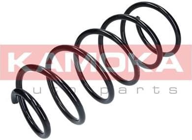 Coil spring 2110263