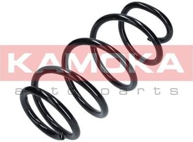 Coil spring 2110294