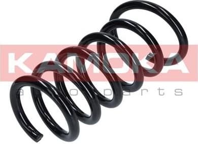 Coil spring 2120273