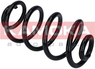 Coil spring 2120304 - image 2