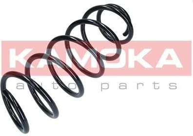 Coil spring 2110282