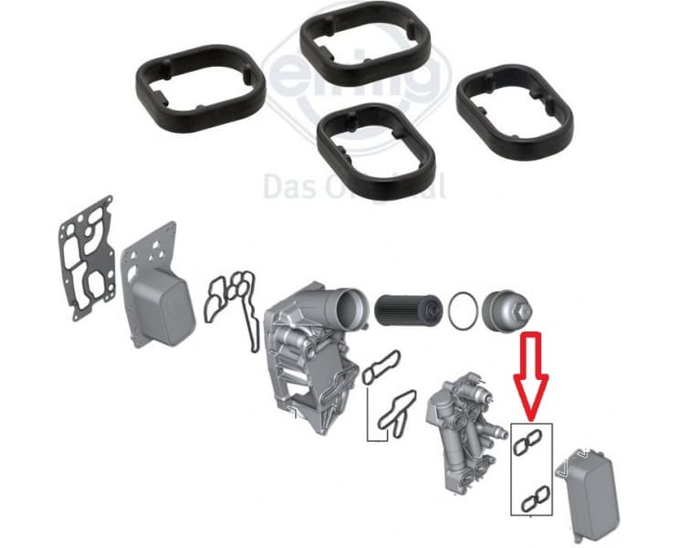 Gasket oil cooler 367.280