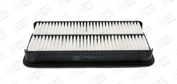 Air Filter CAF100565P