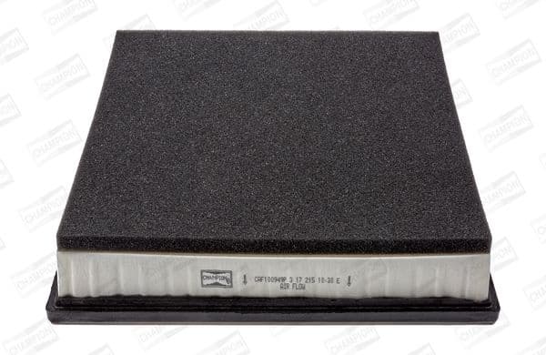 Air Filter CAF100949P