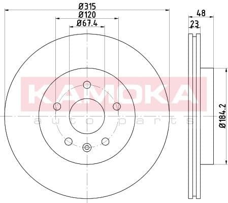 Brake discs kit rear, (2pcs) 103242 - image 5