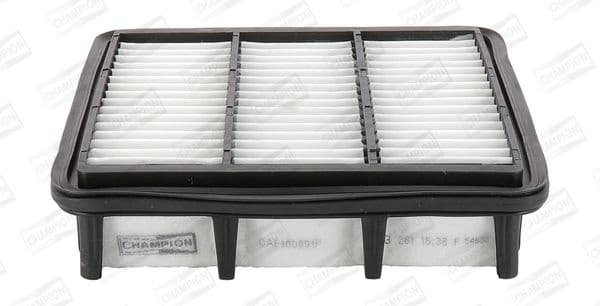 Air Filter CAF100891P