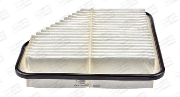 Air Filter CAF100920P