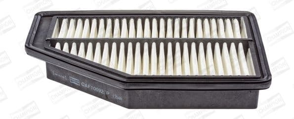Filter air CAF100925P