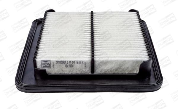 Air Filter CAF100943P