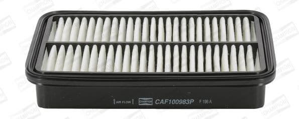 Air Filter CAF100983P
