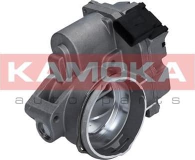 Throttle Body 112010