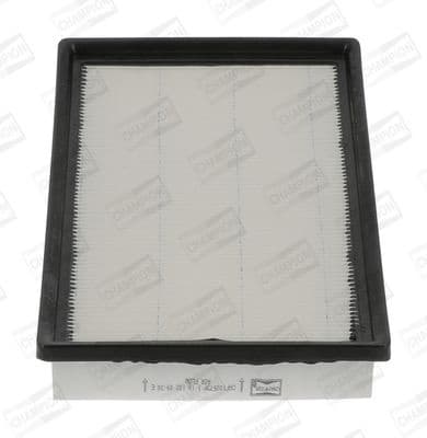 Air Filter CAF100573P