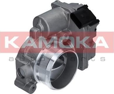 Throttle Body 112013