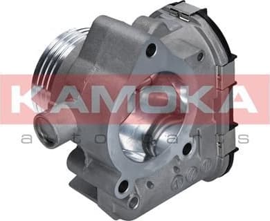 Throttle Body 112020