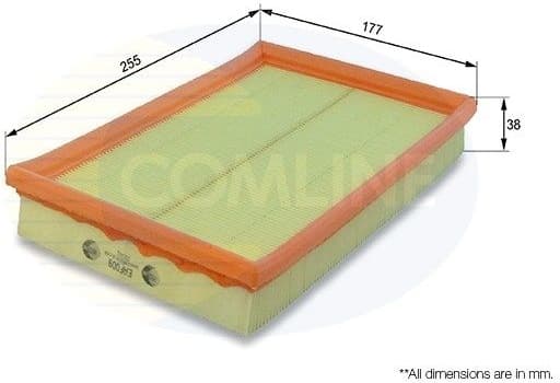Air Filter EAF009