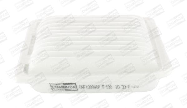 Air Filter CAF100940P